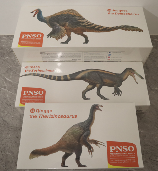 PNSO Models in stock.