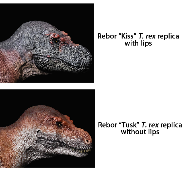 Rebor "Kiss" and Rebor "Tusk" T. rex figures.