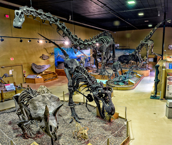 The Dinosaur Hall at the Wyoming Dinosaur Centre.