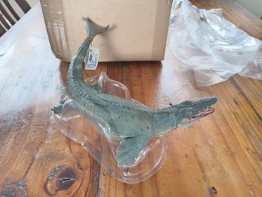 The new Papo Mosasaurus model, it has a fan in Costa Rica.