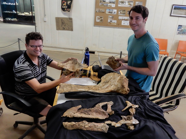 Examining the Queensland dinosaur fossils.