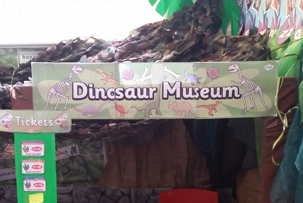 Dinosaur and fossil workshop.