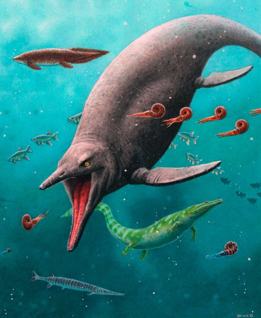 Earliest ichthyosaur.