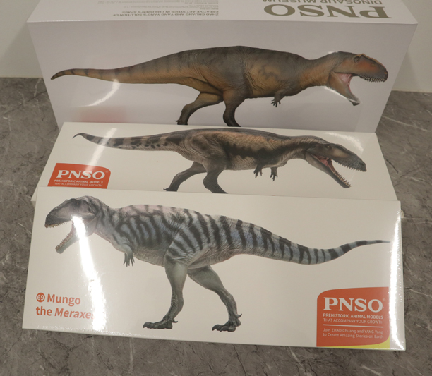 A trio of carcharodontosaurids. The new PNSO Giganotosaurus model in 1:35 scale along with the PNSO Mapusaurus and Meraxes figures.