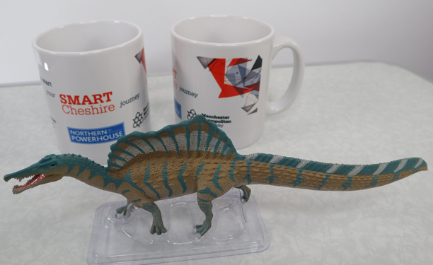 SMART Cheshire mugs. Back to school for Everything Dinosaur.
