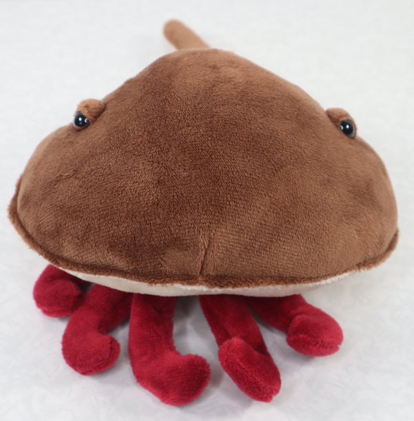 Horseshoe crab soft toy