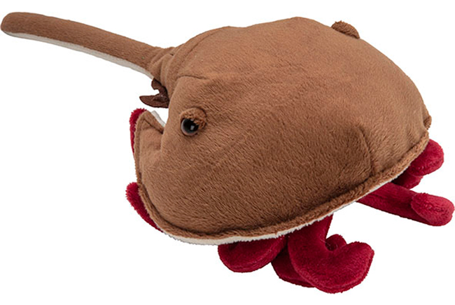 Horseshoe crab soft toy.