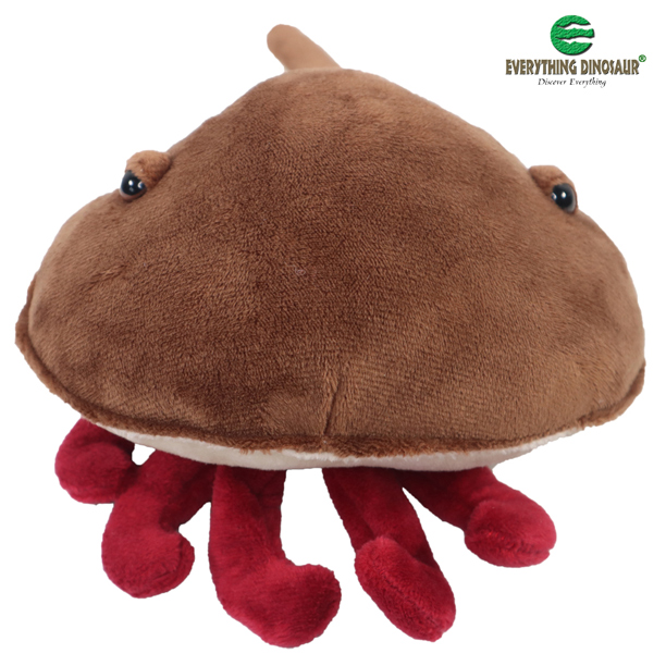 Horseshoe crab soft toy.
