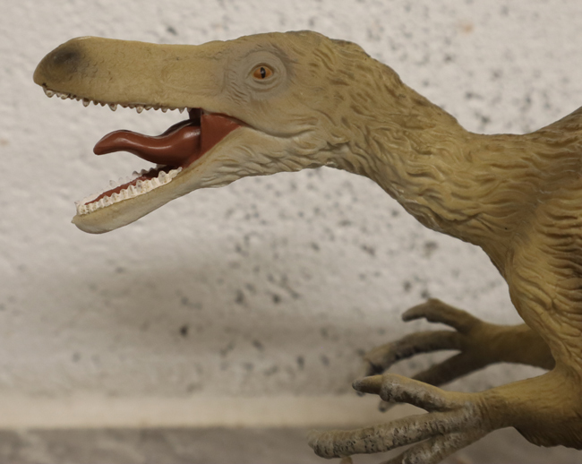 CollectA Deluxe Velociraptor.