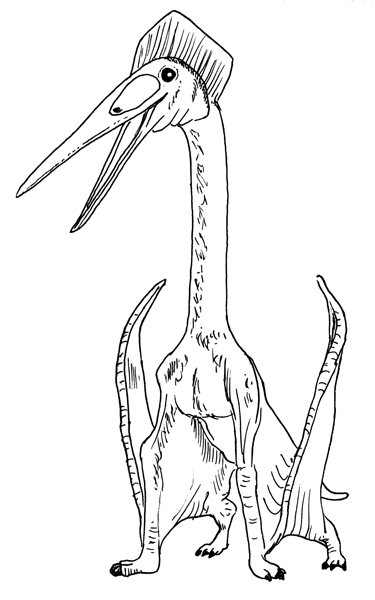 Hatzegopteryx Illustrated.