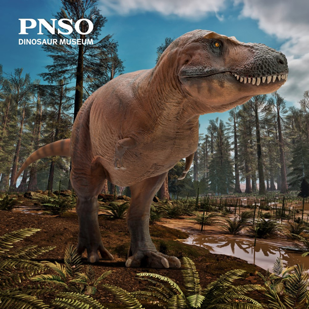 PNSO Cameron the Tyrannosaurus rex