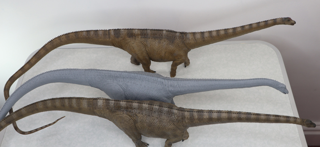 Rebor Diplodocus carnegii models.
