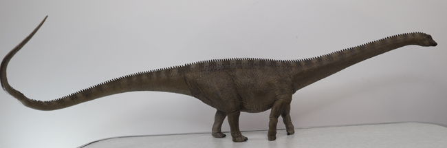 An assembled Rebor Diplodocus dinosaur model.
