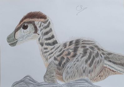 Prehistoric Planet Ilustrations (young Velociraptor)