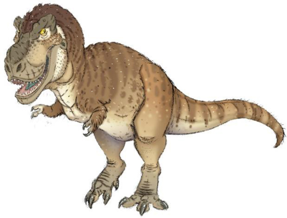 "The Tyrannosaur's Feathers" the feathered T. rex.