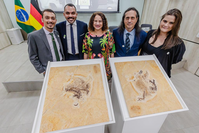 Ubirajara fossil specimen returned to Brazil.