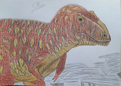 Tarbosaurus dinosaur drawing.