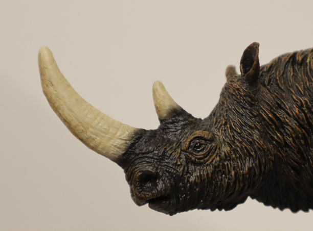 A close-up view of the head of the Mojo Fun Woolly Rhino model.