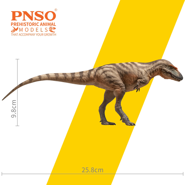 PNSO Gorgosaurus model measurements.