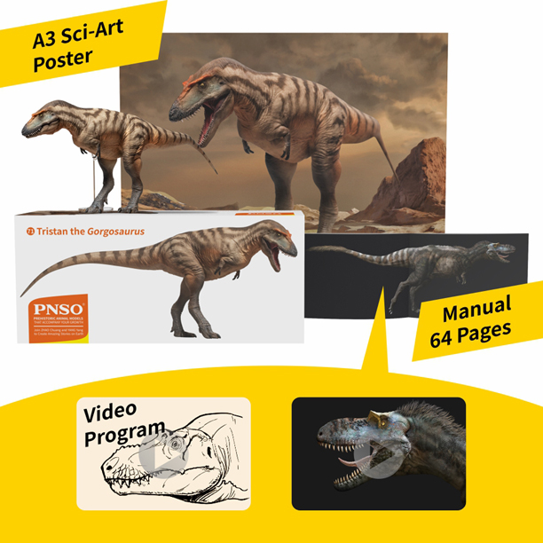 The PNSO Gorgosaurus figure will be supplied with an A3-sized Sci-Art poster and a 64-page, illustrated colour booklet.