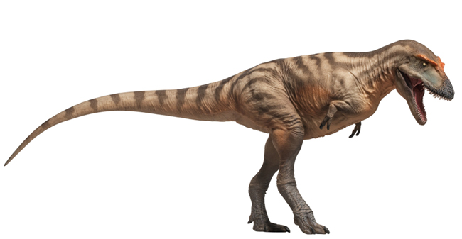PNSO Tristan the Gorgosaurus model.