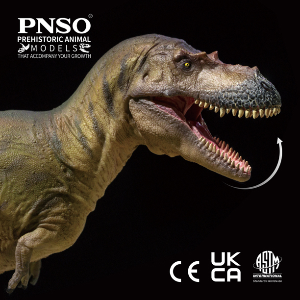 The PNSO Wally the Albertosaurus dinosaur model has an articulated jaw.