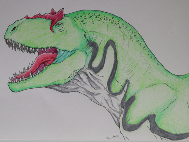 Illustrating an Allosaurus.