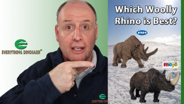 Which Woolly Rhino Model do you Prefer Mojo Fun or Papo?