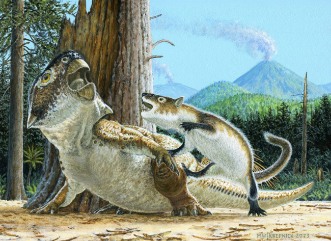 Life reconstruction showing Psittacosaurus being attacked by Repenomamus.