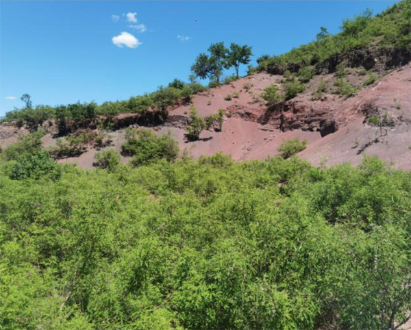 Hillside where the Psittacosaurus and Repenomamus fossils were found.