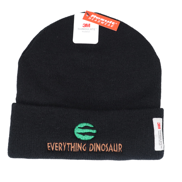 Everything Dinosaur beanie hat.