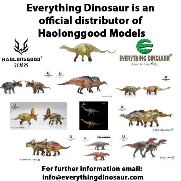 Haolonggood dinosaur models coming into stock at Everything Dinosaur.