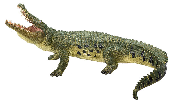 crocodile model.