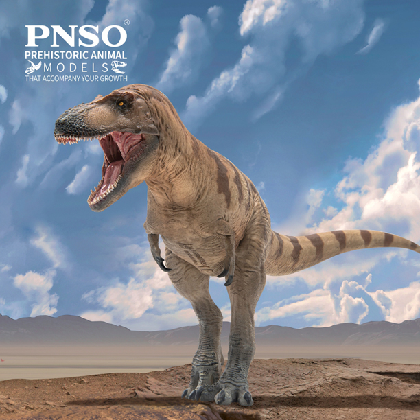 PNSO Cole the Daspletosaurus dinosaur model.