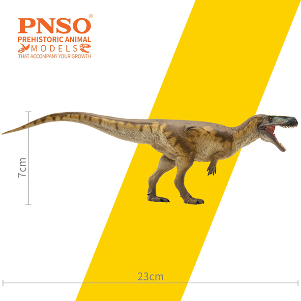Megalosaurus model measurements