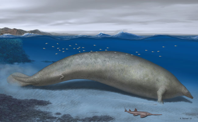 Perucetus colossus life reconstruction.