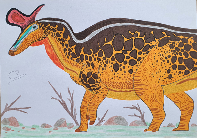 Caldey's Lambeosaurine illustration
