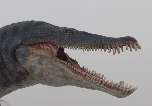 A close-up view of the jaws of the formidable Papo Kronosaurus marine reptile model.