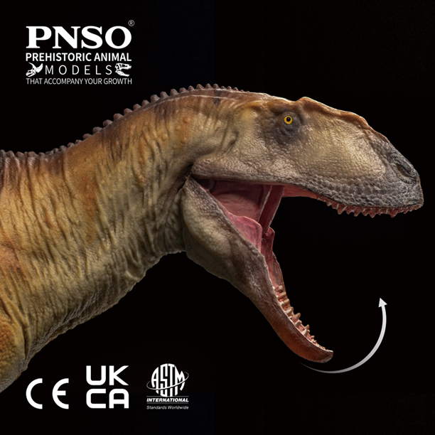 The Yangchuanosaurus dinosaur model has an articulated jaw.