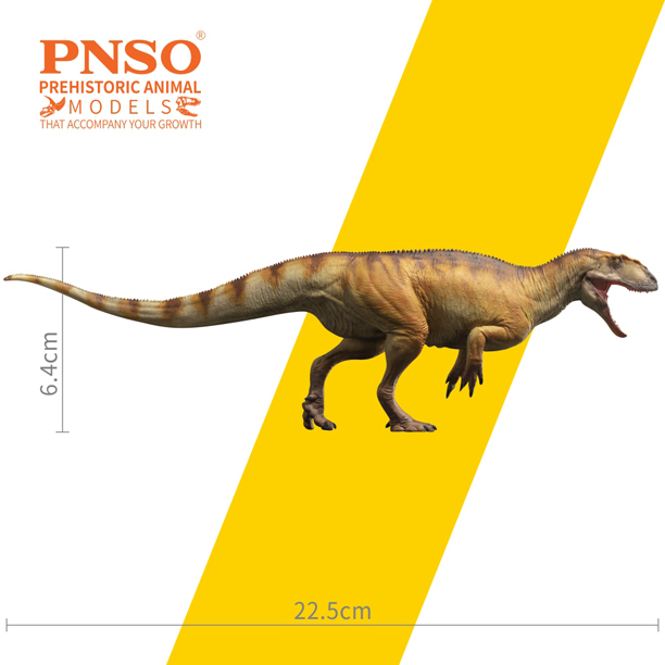 Yangchuanosaurus model measurements.