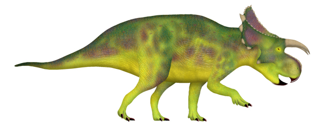 Furcatoceratops elucidans life reconstruction.