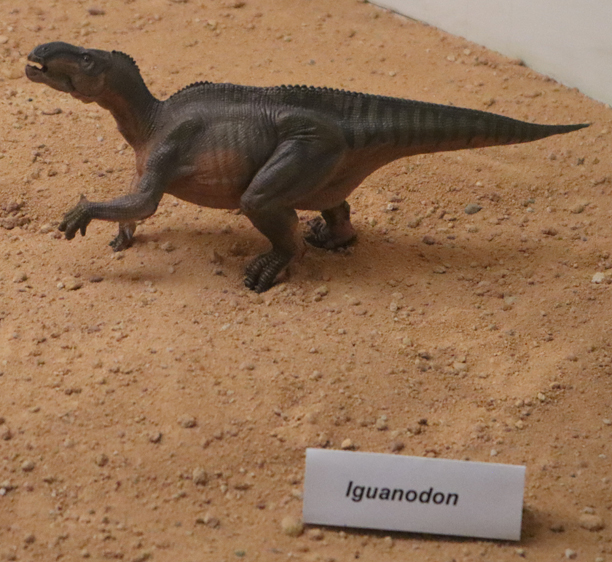 The Papo Iguanodon model.