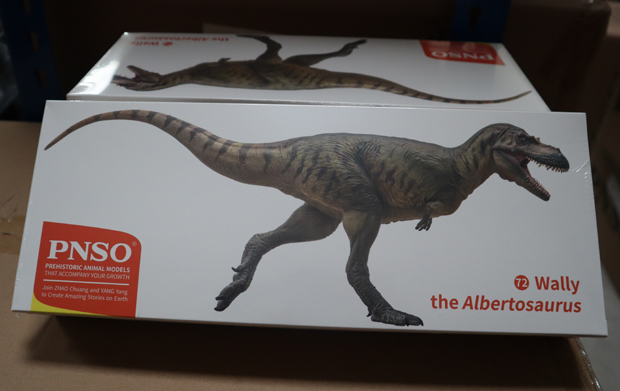 PNSO Albertosaurus model packaging.