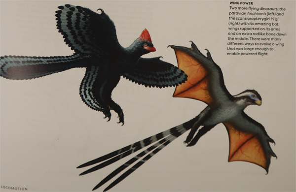 "Dinosaur Behavior" stunning illustrations.