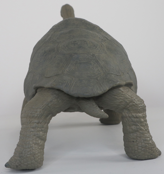 Rebor "Lonesome George in posterior view.