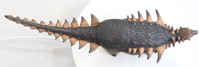 CollectA Deluxe Polacanthus model in dorsal view.