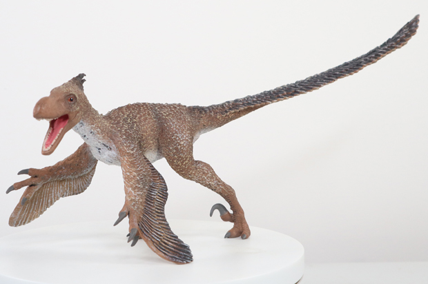 The new for 2024 CollectA Deluxe Velociraptor.