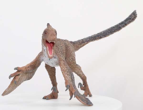 CollectA Deluxe Velociraptor in anterior view.