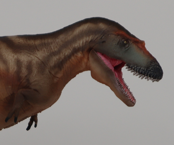 PNSO Gorgosaurus model