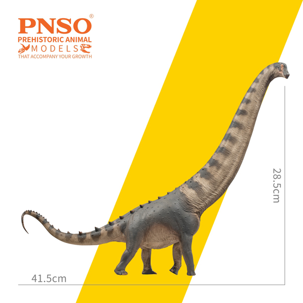 PNSO Samuel the Alamosaurus model measurements.